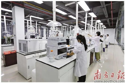蓬江 以科技創(chuàng)新為引擎，新材料研發(fā)驅(qū)動產(chǎn)業(yè)升級